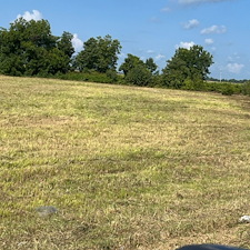 Professional-Commercial-Bush-Hogging-in-Clarksdale-MS 3